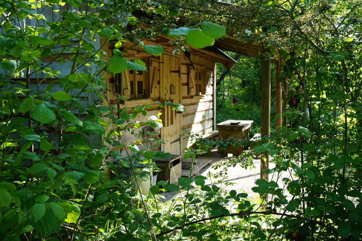 outside Idaho log cabin
