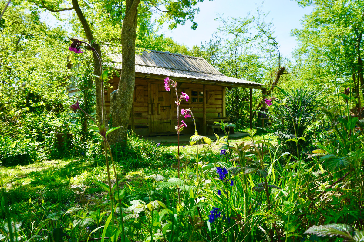 outside Idaho log cabin
