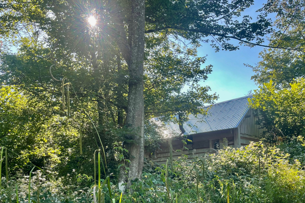 Outside Idaho log cabin