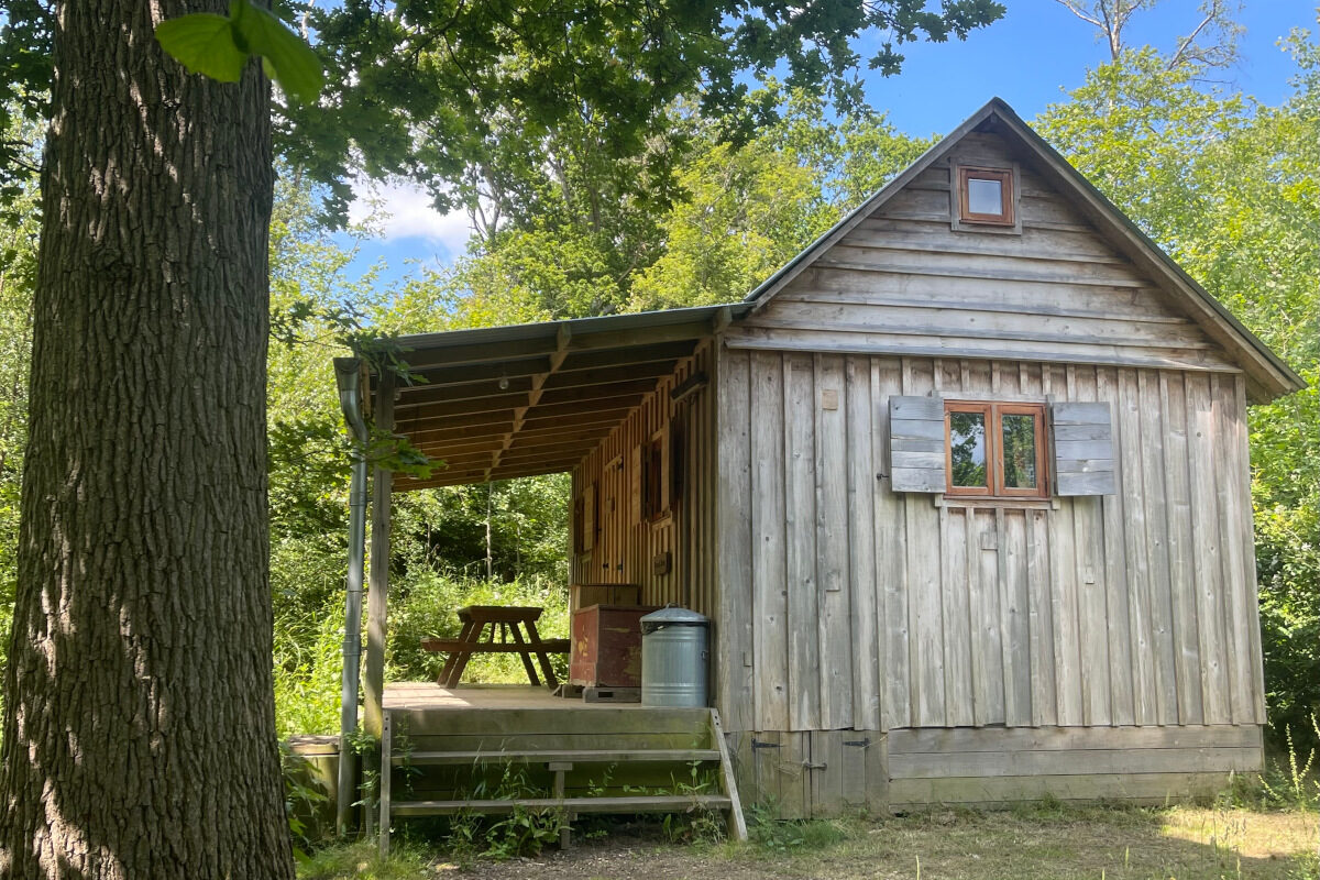 Outside Orinoco log cabin