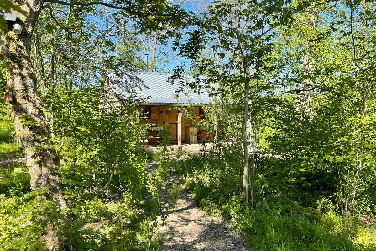 Outside Orinoco log cabin